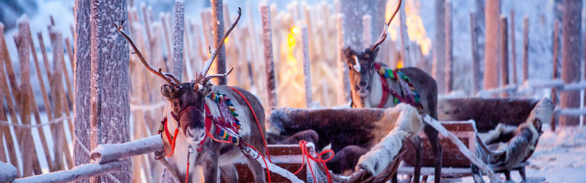 Voyage Noël famille en Laponie 6 jours
