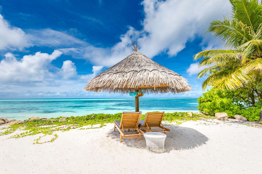 Voyage en Jamaïque 