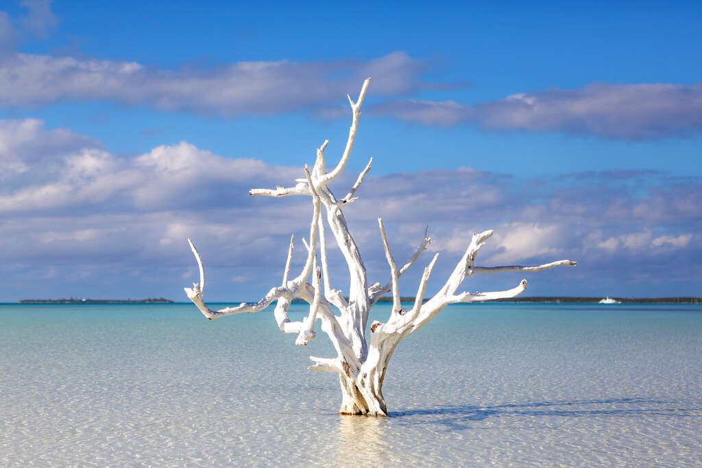 Voyage dans les Bahamas 