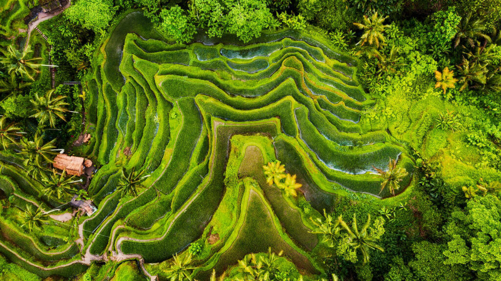 Circuit éco-responsable de 12 jours à Bali 