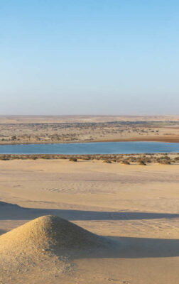 Voyage dans les oasis du désert égyptien