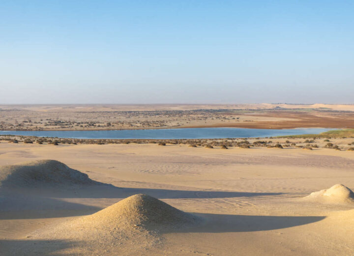 Voyage dans les oasis du désert égyptien