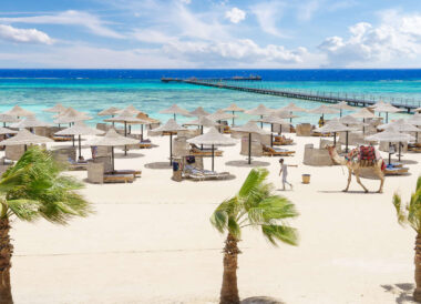 Séjour éco-responsable en Mer Rouge en famille