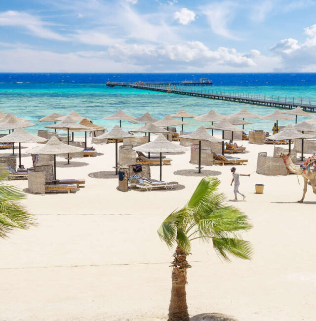 Voyage éco-responsable 8 jours à Marsa Alam