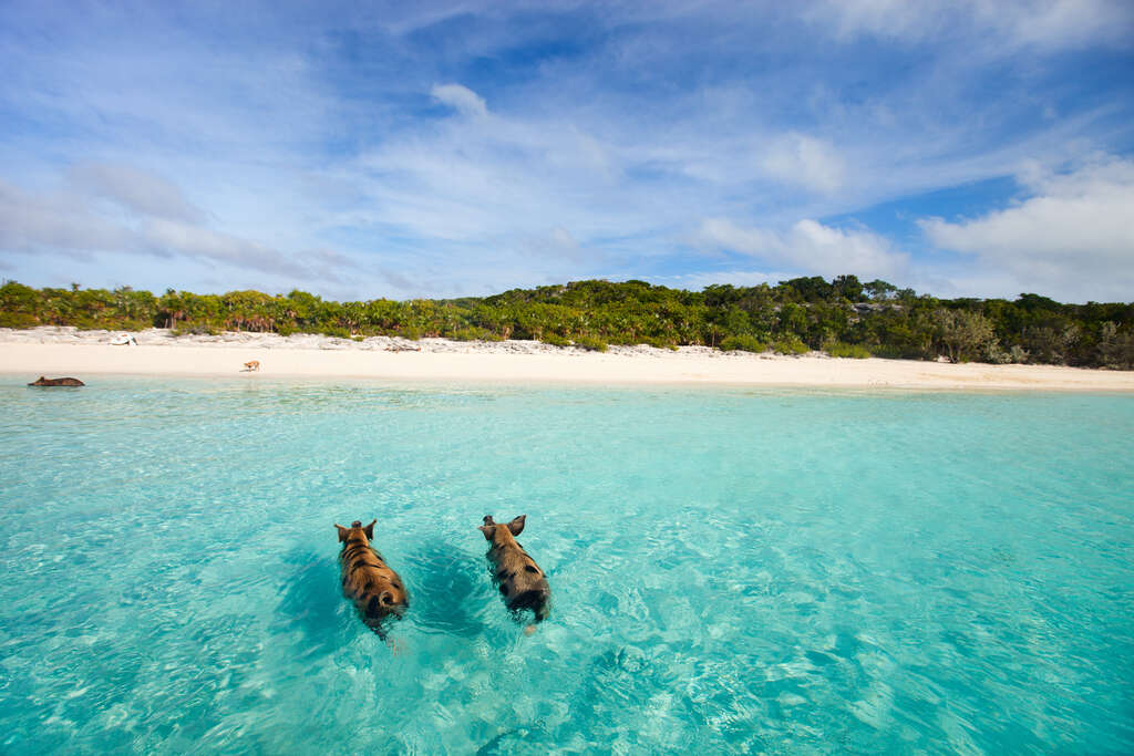 Voyage dans les Bahamas