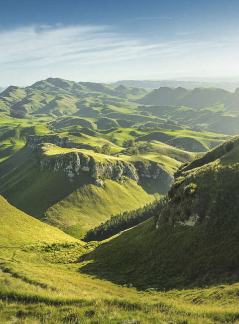Trésors de Nouvelle-Zélande : le grand tour du pays