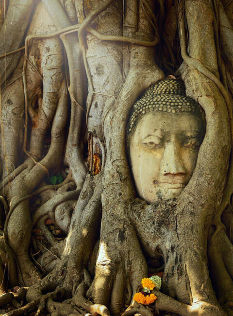 Les incontournables de la Thaïlande en petit groupe