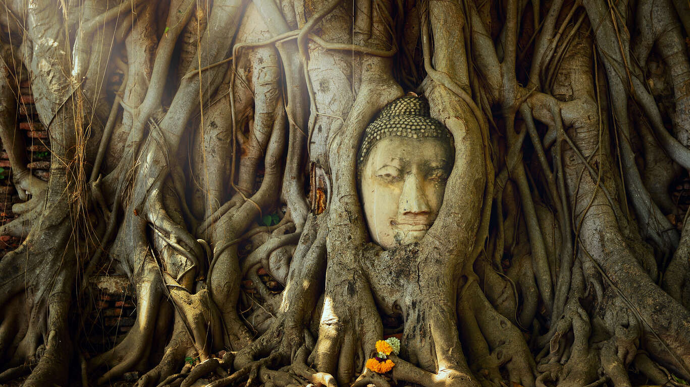 Les incontournables de la Thaïlande en petit groupe