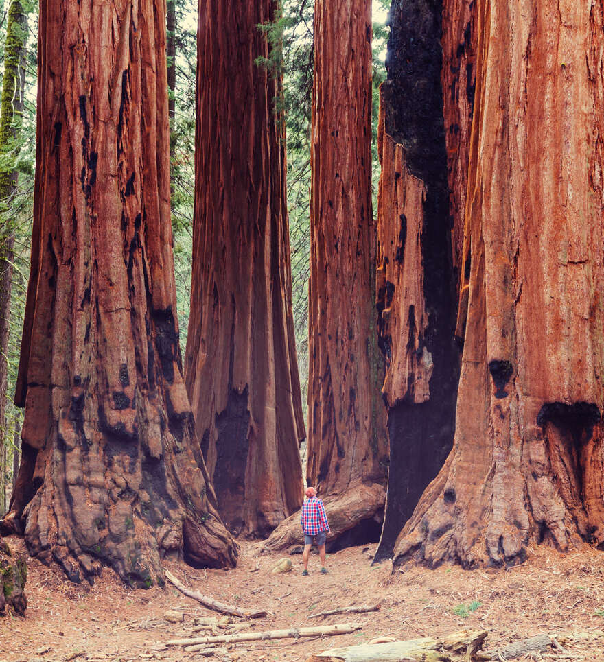 Itinéraires nature et parcs depuis San Francisco