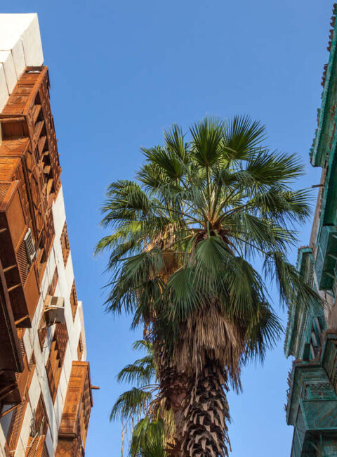Jeddah et les montagnes d’Asir