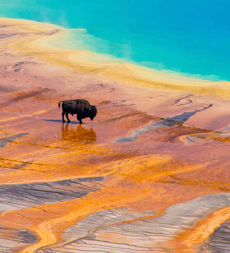 À la découverte des merveilles naturelles de Yellowstone