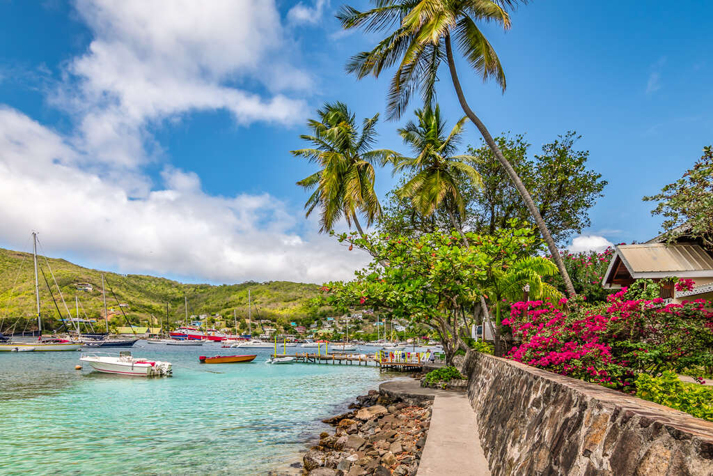 Voyage à Saint-Vincent et les Grenadines