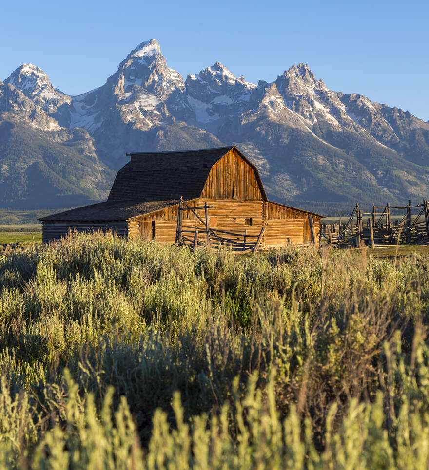 Conseils pratiques pour un road trip réussi au Wyoming