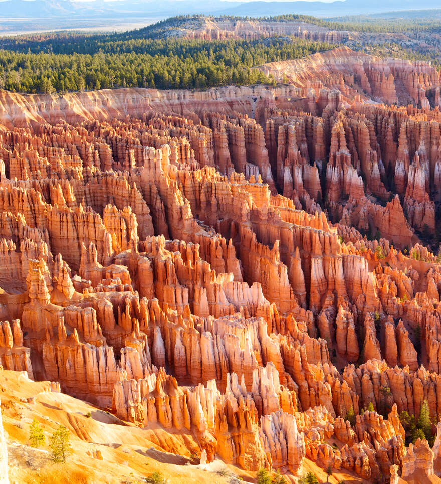 Arizona et grands parcs voisins : Utah, Nevada, Colorado