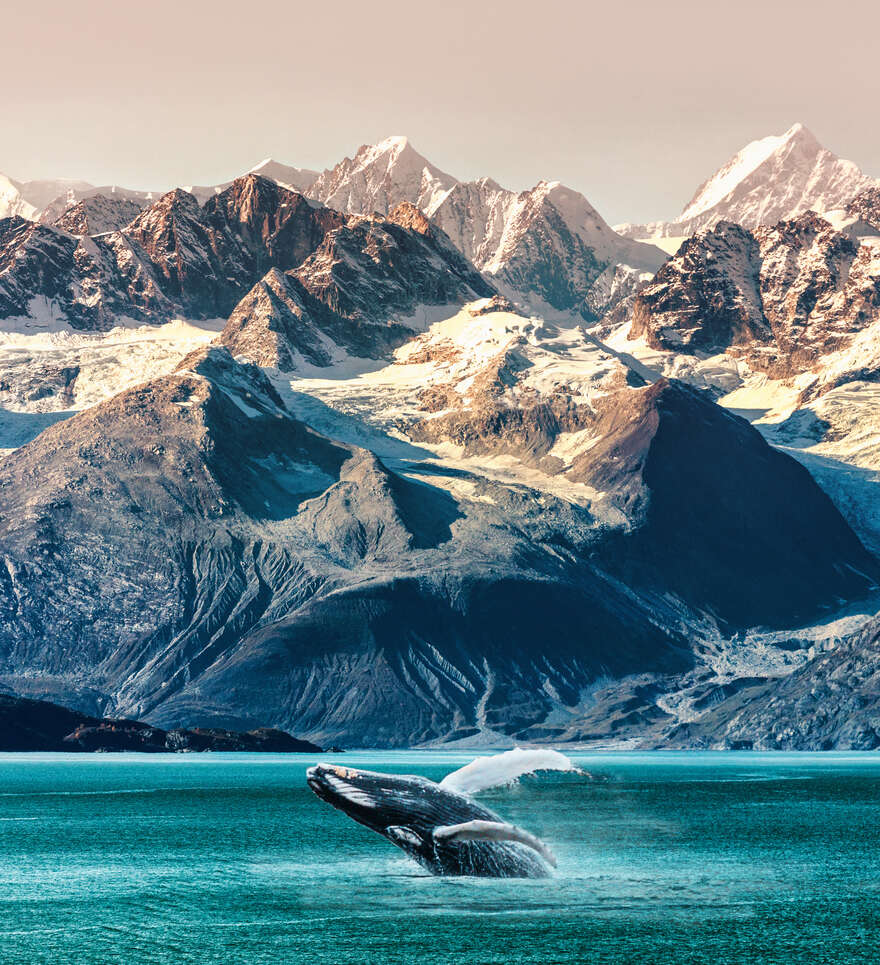 Nature sauvage et grands frissons : l’Alaska grandeur nature