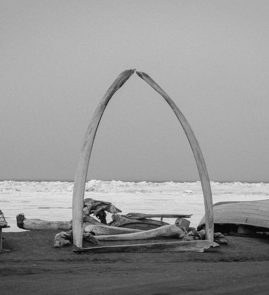 L’Ouest et l’Arctique : expéditions extrêmes aux confins de l’Alaska