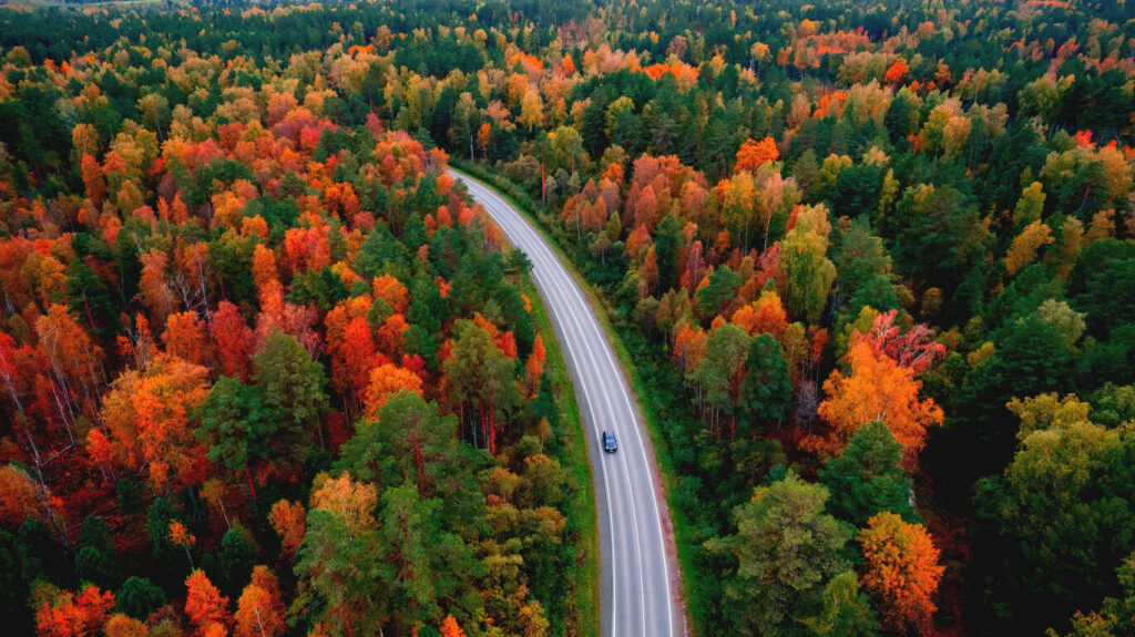 Voyage en automne en Laponie 