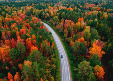 Un automne en Laponie, vivez le Ruska finlandais