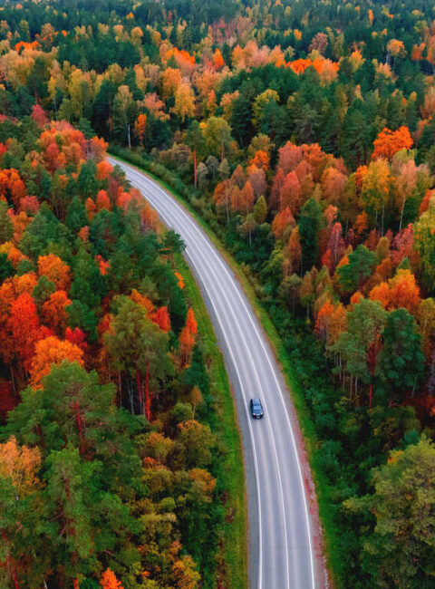 Un automne en Laponie, vivez le Ruska finlandais