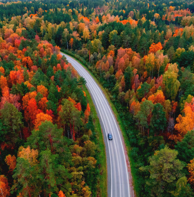 Voyage en automne en Laponie