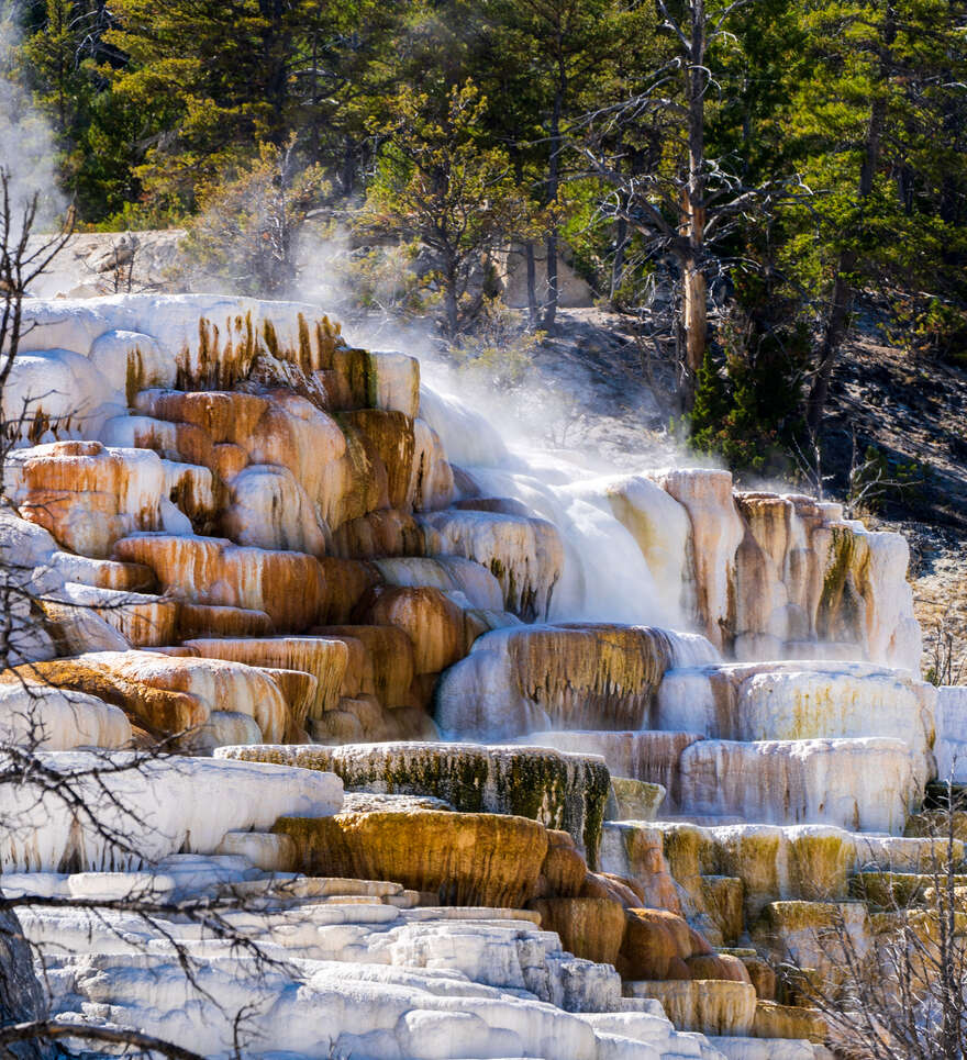 Nos roads trips dans le Montana