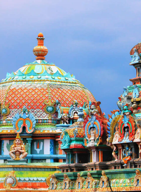 L’Inde du sud en petit groupe