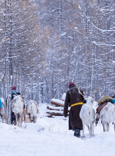 La Mongolie du nord en hiver