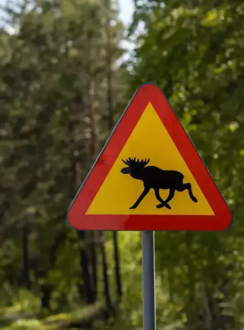 Le grand tour de la Suède