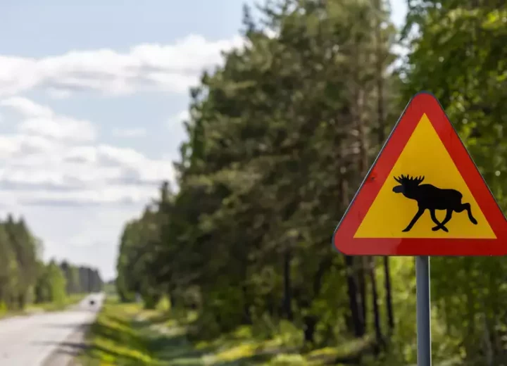 Le grand tour de la Suède