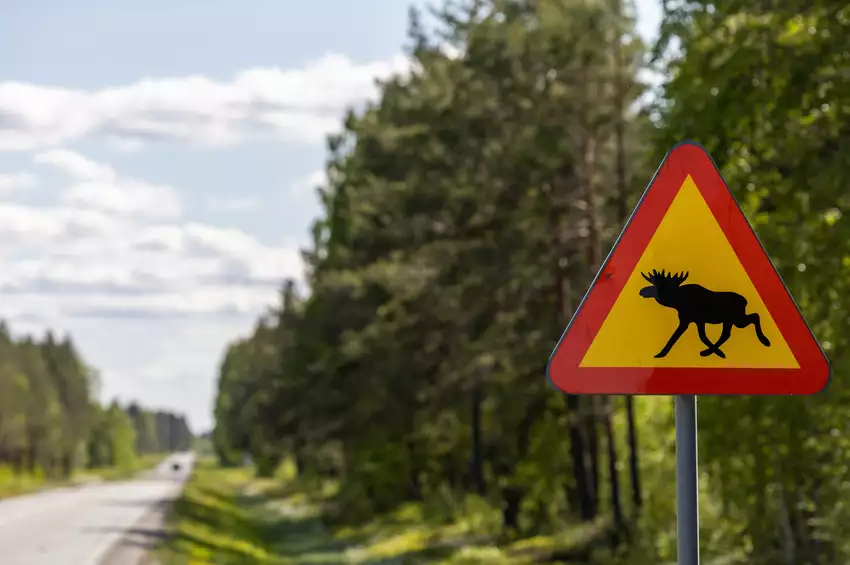 Le grand tour de la Suède