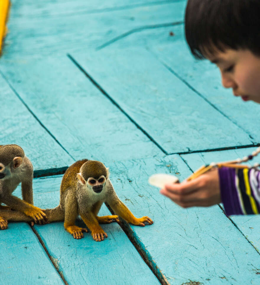 Activités ludiques et éducatives pour les enfants