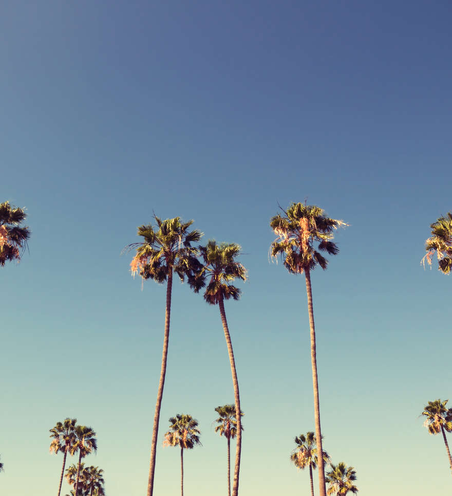 Nos offres de road trips à Los Angeles