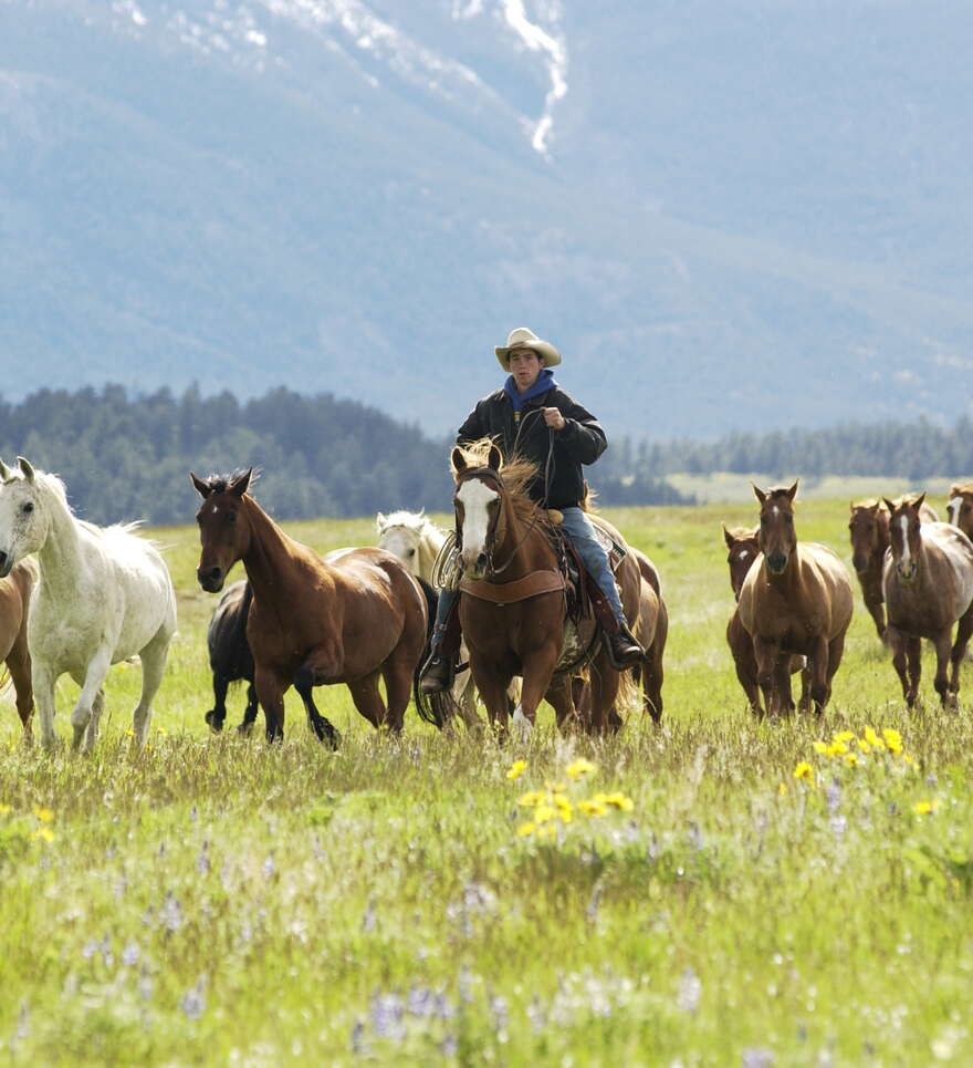 L’expérience nature au cœur du Montana