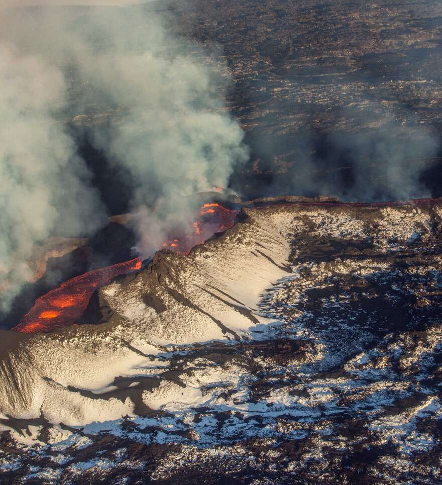 Un rôle écologique et géologique majeur
