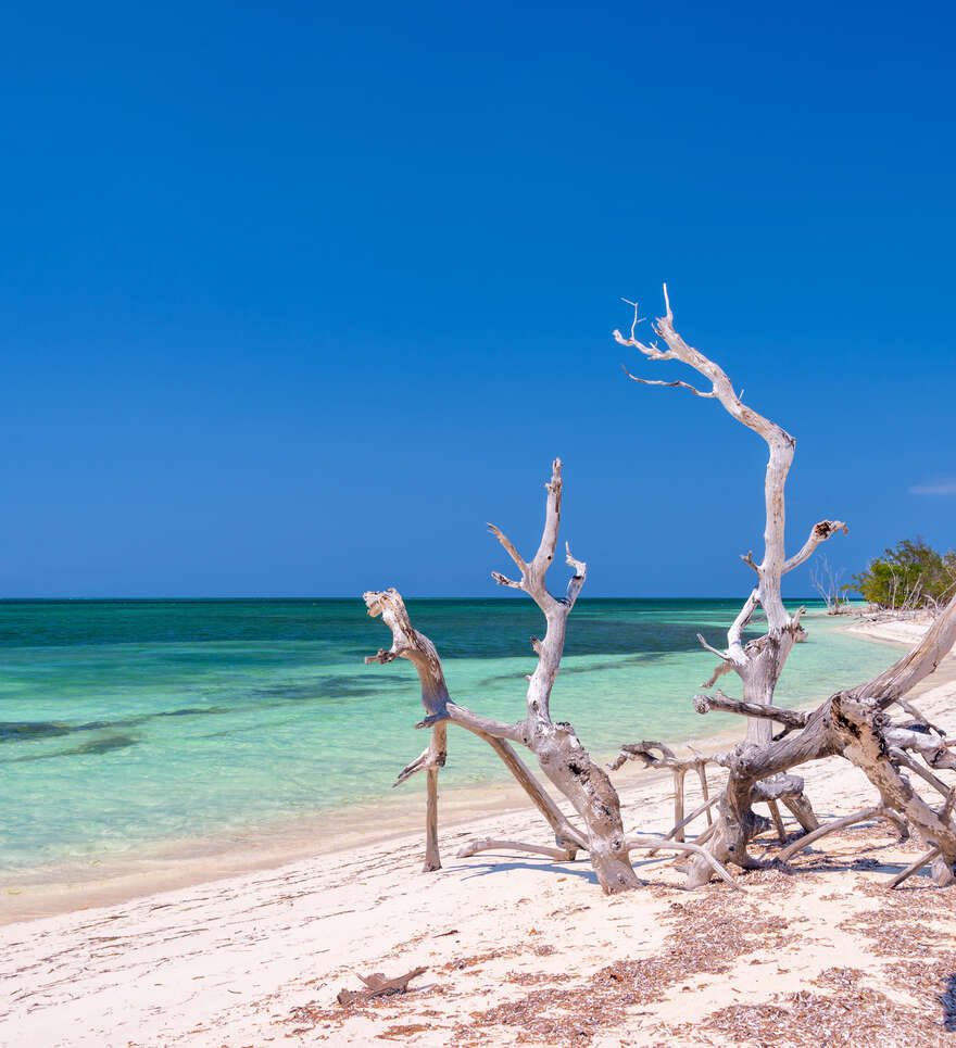 Explorer des trésors cachés pendant votre voyage de noces aux Caraïbes