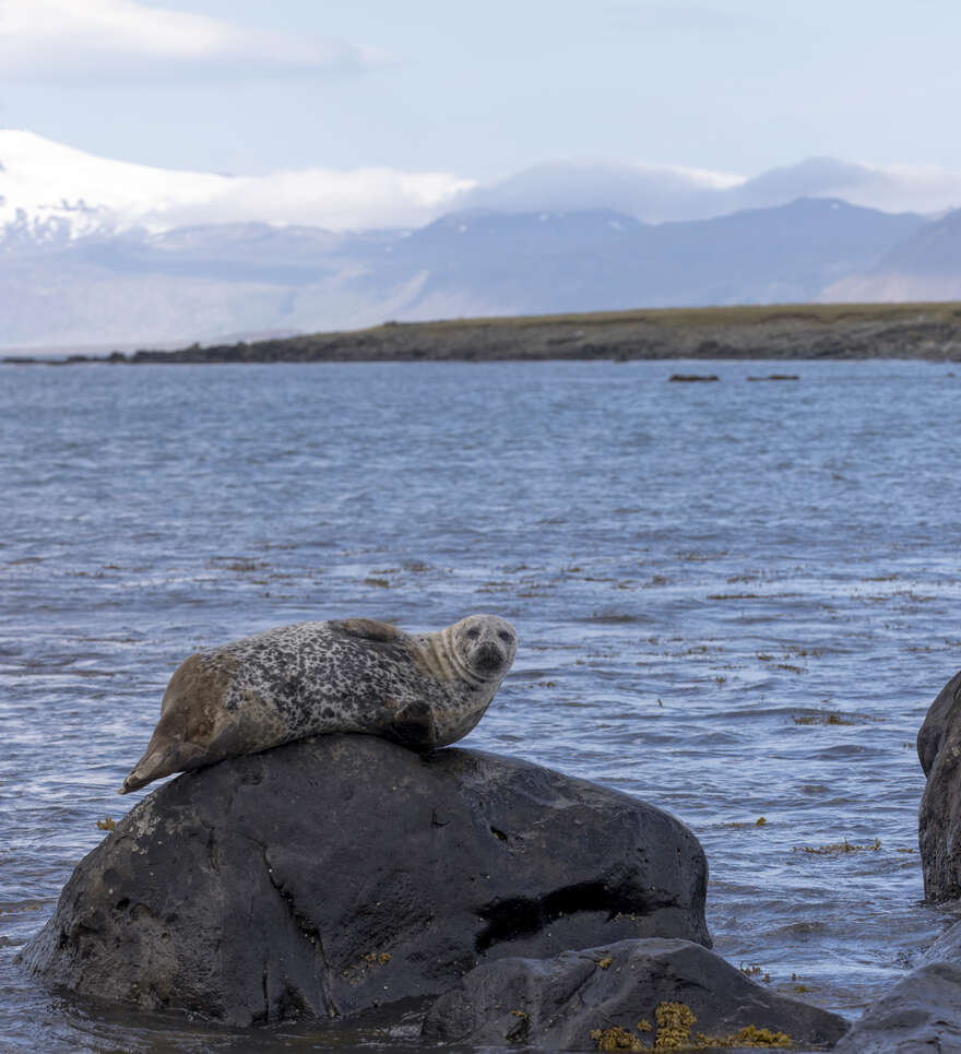 Nature spectaculaire et paysages d’exception