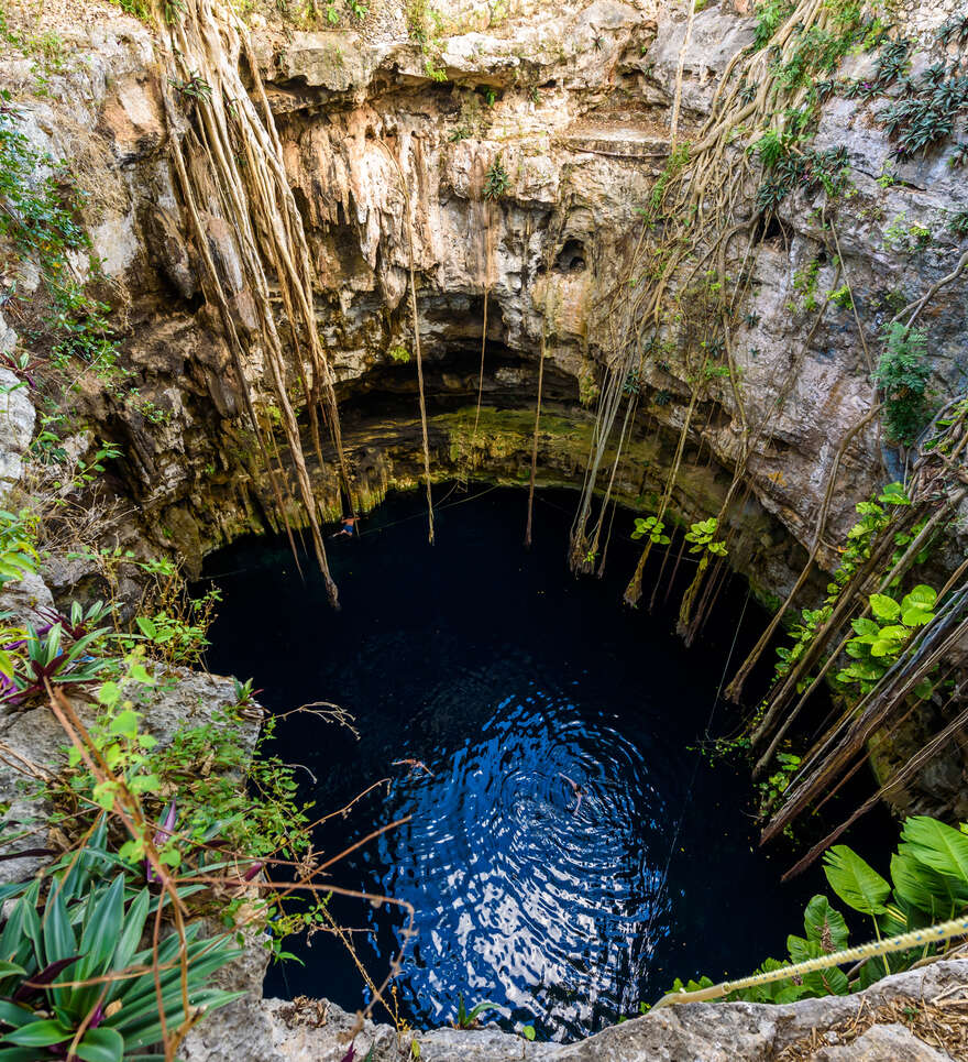 Les plus beaux cenotes du Yucatán à découvrir en voiture