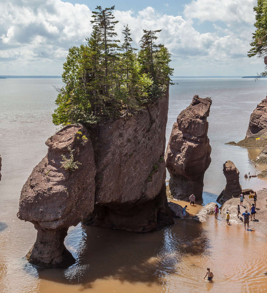 Les merveilles naturelles de la baie de Fundy