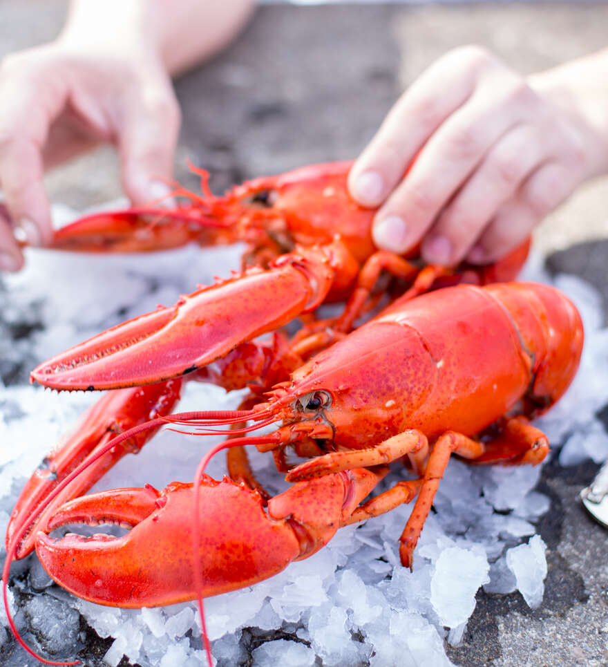 Saveurs locales et plaisirs gourmands