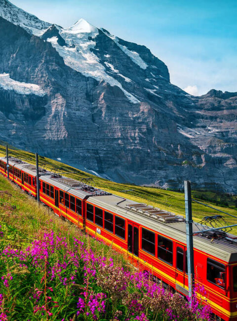 La Suisse en train panoramique