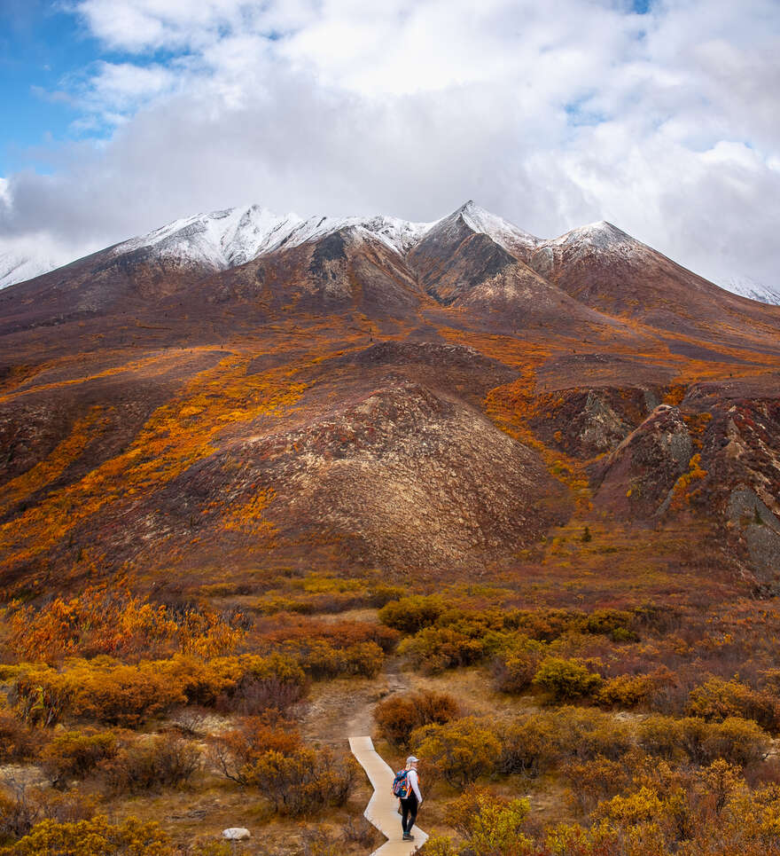 Paysages spectaculaires et faune sauvage
