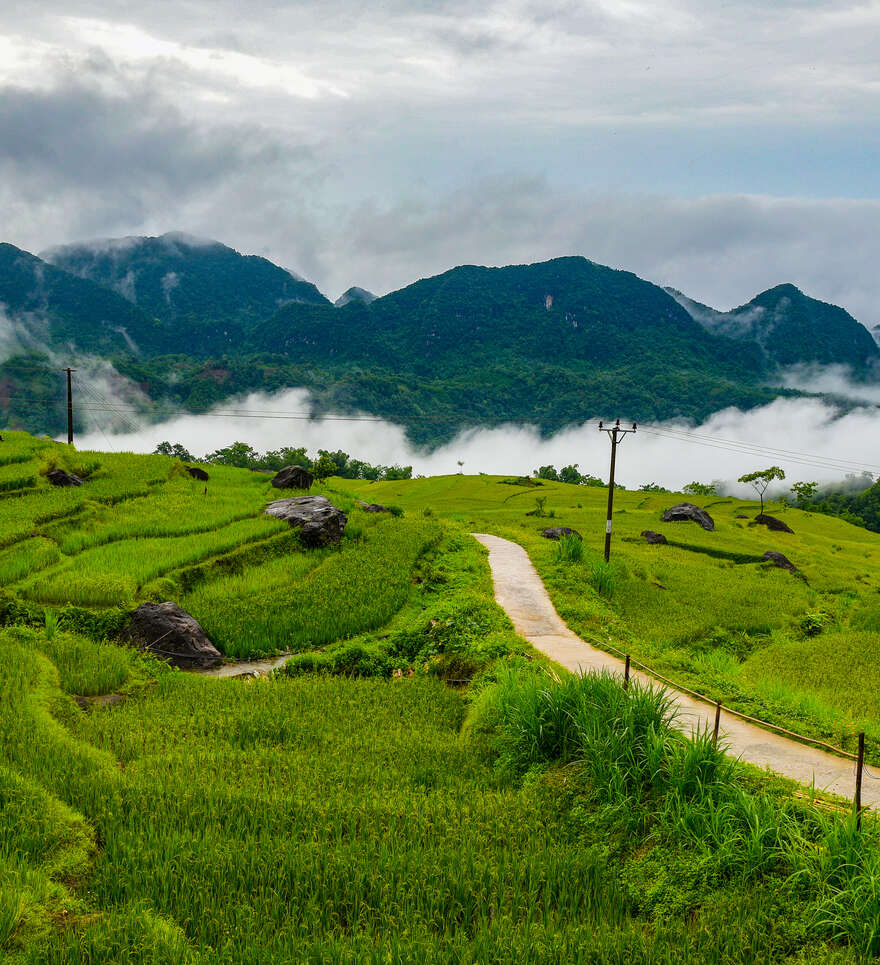 Pourquoi choisir le Vietnam pour un voyage de luxe ?