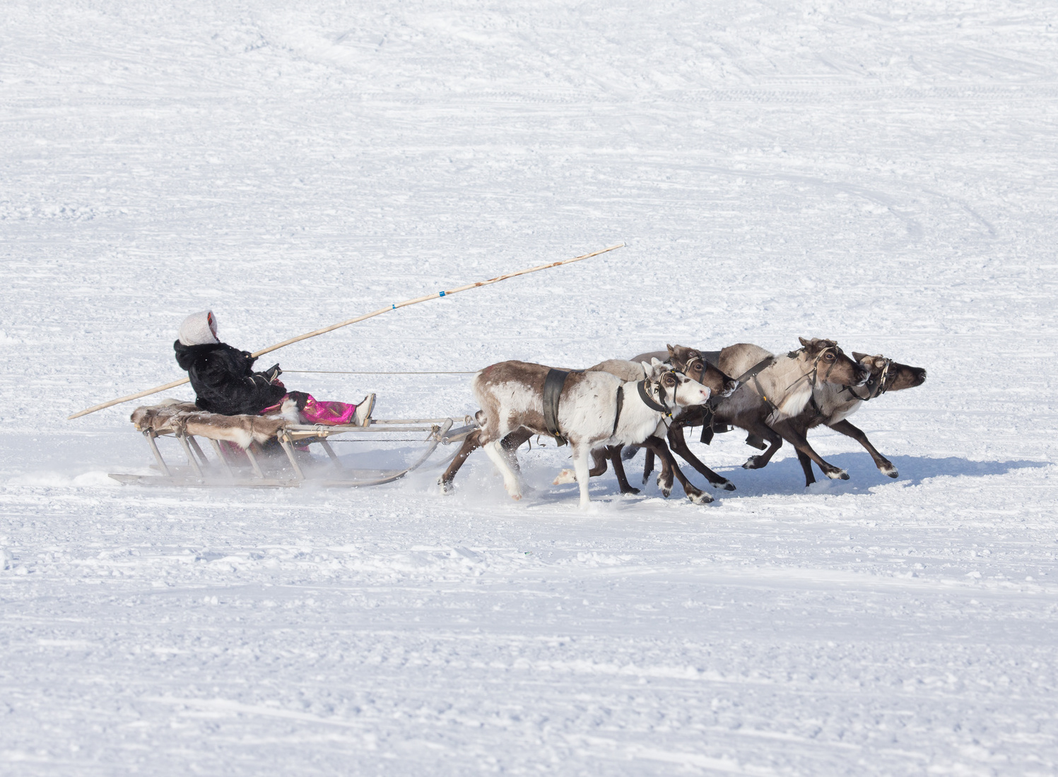 Une expérience hivernale pour tous les voyageurs