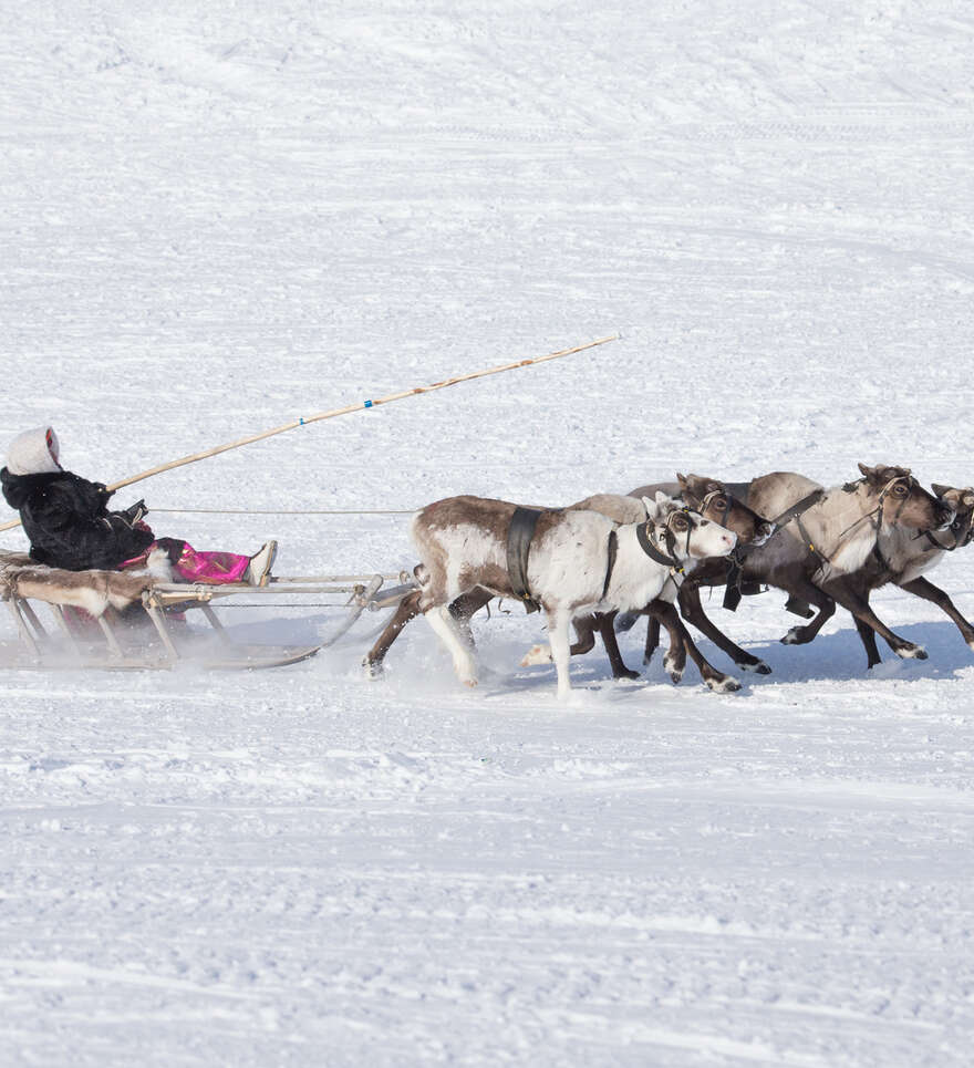 Un Noël familial inoubliable au cœur de la Laponie finlandaise
