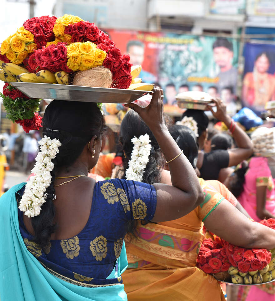 Conseils pour un circuit accompagné réussi en Inde du Sud