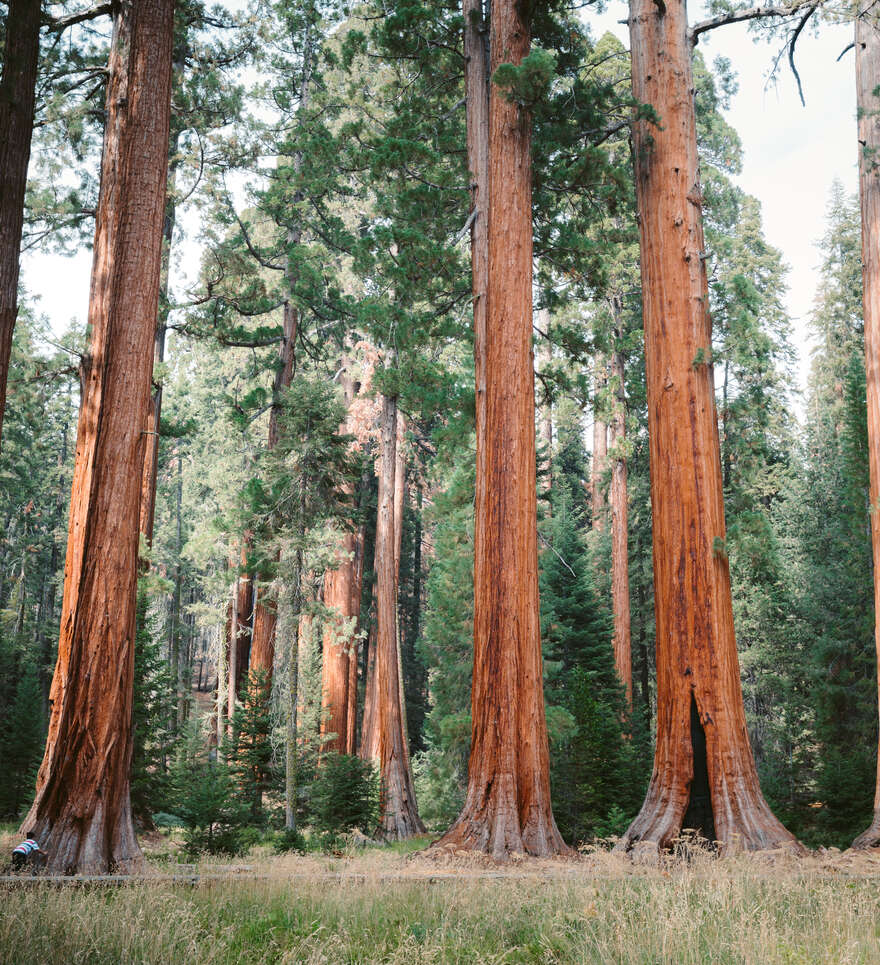 Conseils pratiques pour bien préparer votre circuit accompagné en Californie