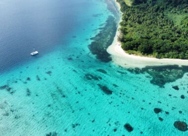 Odyssée dans le Pacifique Sud