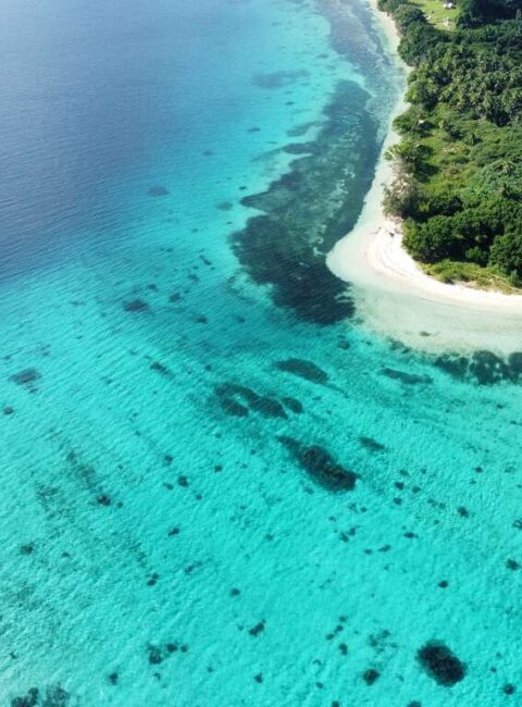 Odyssée dans le Pacifique Sud