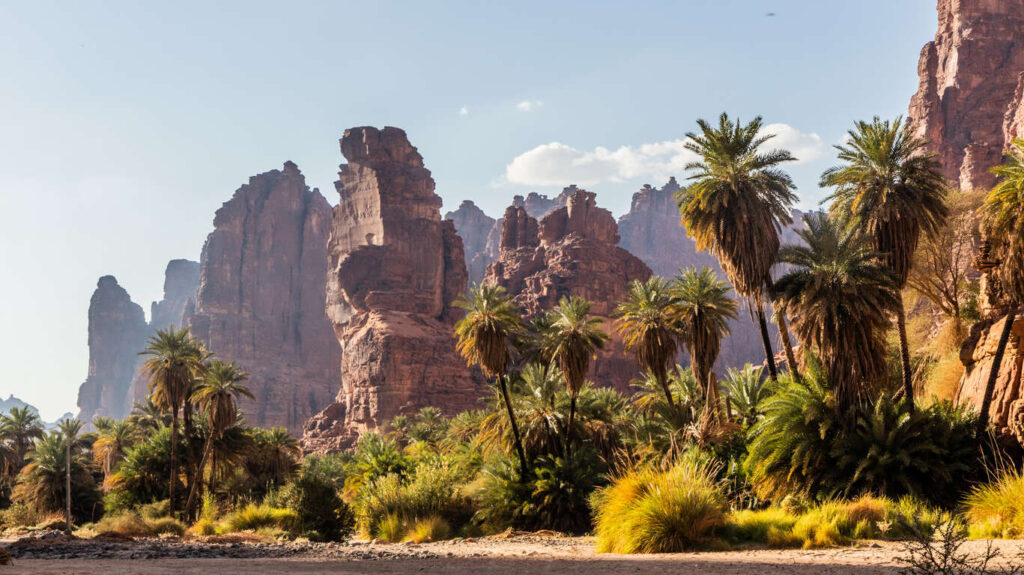 Autotour de 10 jours en Arabie Saoudite : Djeddah, Médine, AlUla, Wadi Disah