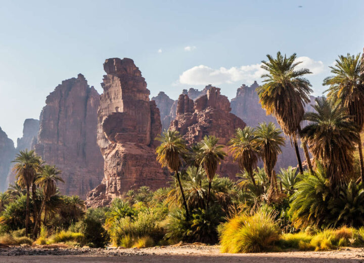 Autotour de Jeddah à Tabuk